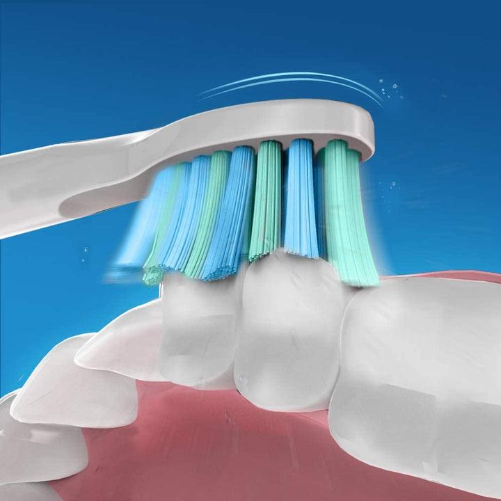 white handle, blue and green bristle brush head brushing teeth thoroughly
